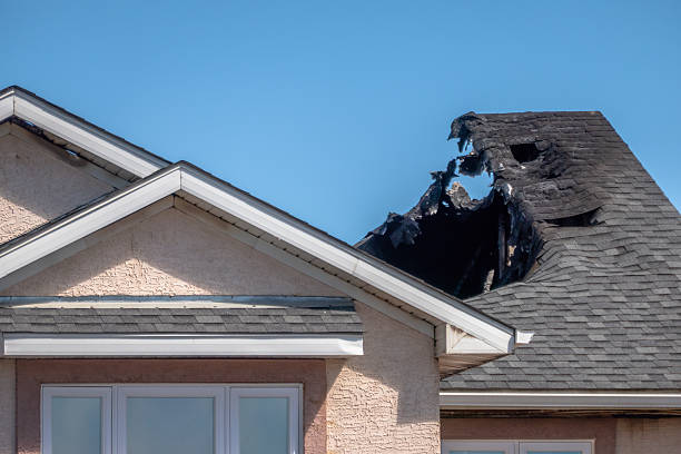 Top rated local Fire Damage Removal specialists in Fort Belvoir, VA